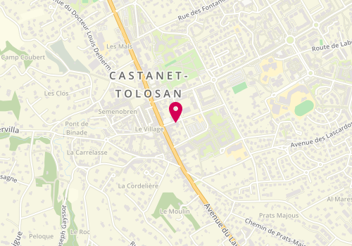 Plan de Coraly Fleurs, Rue du Stade, 31320 Castanet-Tolosan