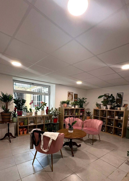 Céline Fleurs - 12800 Naucelle